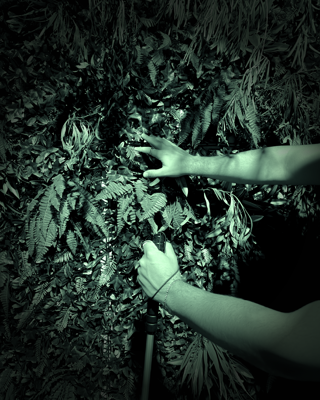 FS Infravermelhos_Prancheta 1